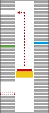 Compact Lift 2